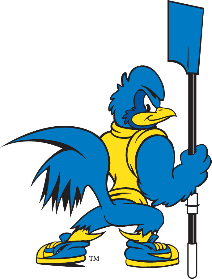 Delaware Blue Hens 1999-2009 Mascot Logo diy DTF decal sticker